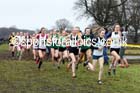 Womens under-17a  Northern Cross Country, Knowsley Safari Park. Photo: David T. Hewitson/Sports for All Pics
